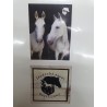 Galeria polep